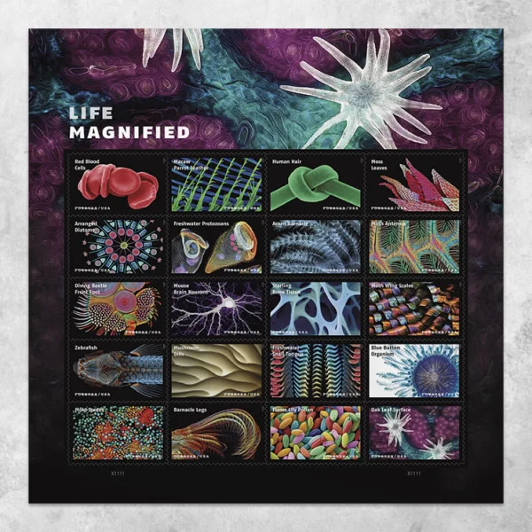 Life Magnified Forever Stamps