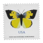 $1.12 California Dogface Butterfly