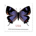 $1.12 Colorado Hairstreak Forever Stamps