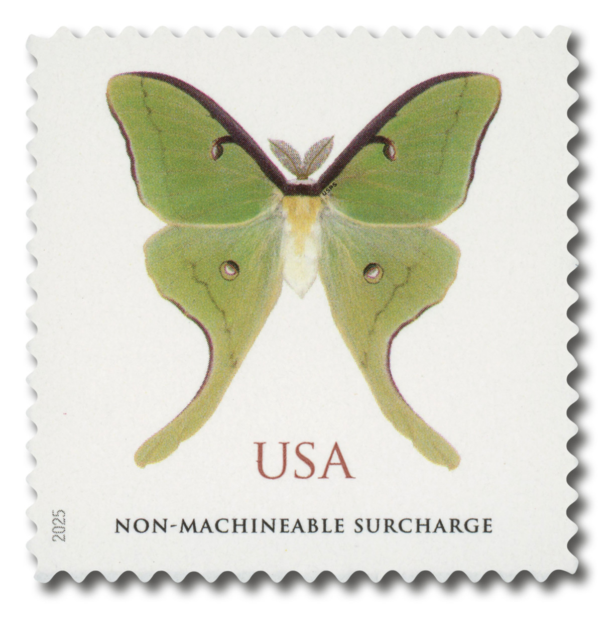 Luna Moth usps stamp, 2025