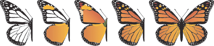 Monarch Butterfly USPS stamp 2010